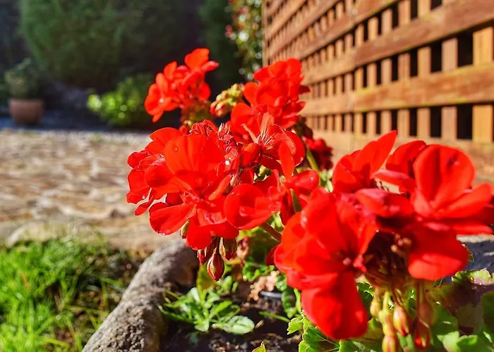 Lägenhet Pazo Da Fonte En A Costa Da Morte Xornes